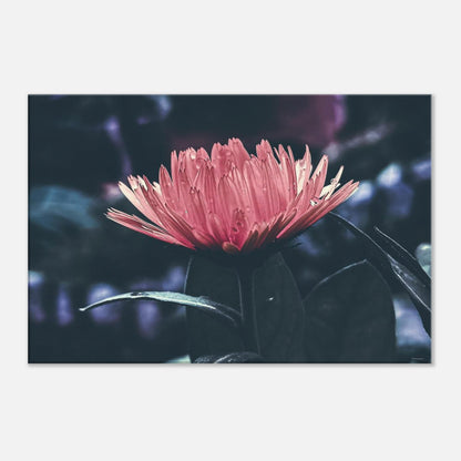 759bee0d-7de9-4a46-a541-0ca29c148b2b