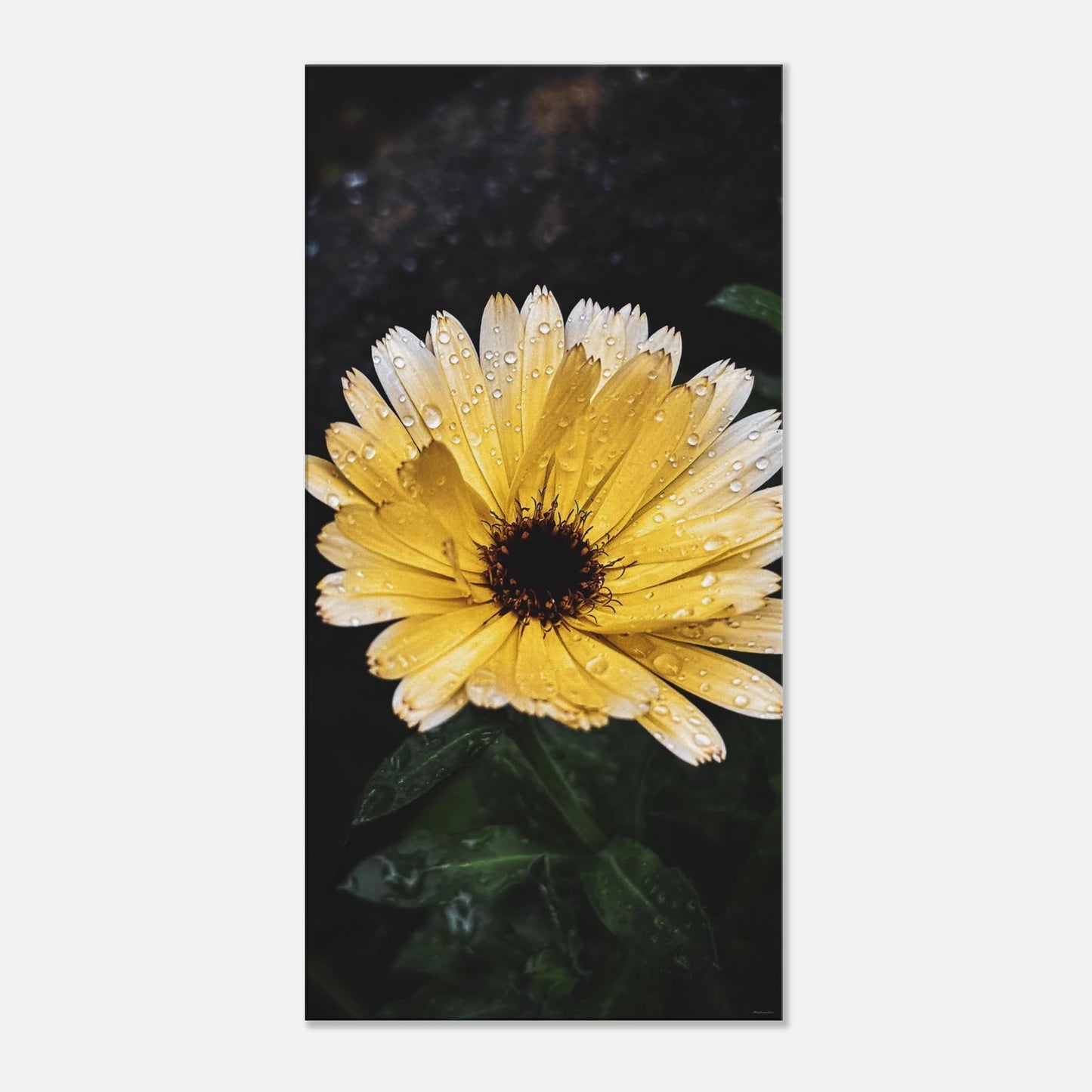 759df2dd-9044-4e74-a5de-13f4fce94d3a