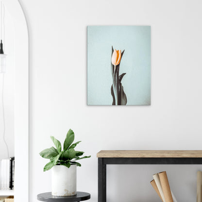 75c94f0f-9f3b-402b-bfda-0ca52d4a8db4