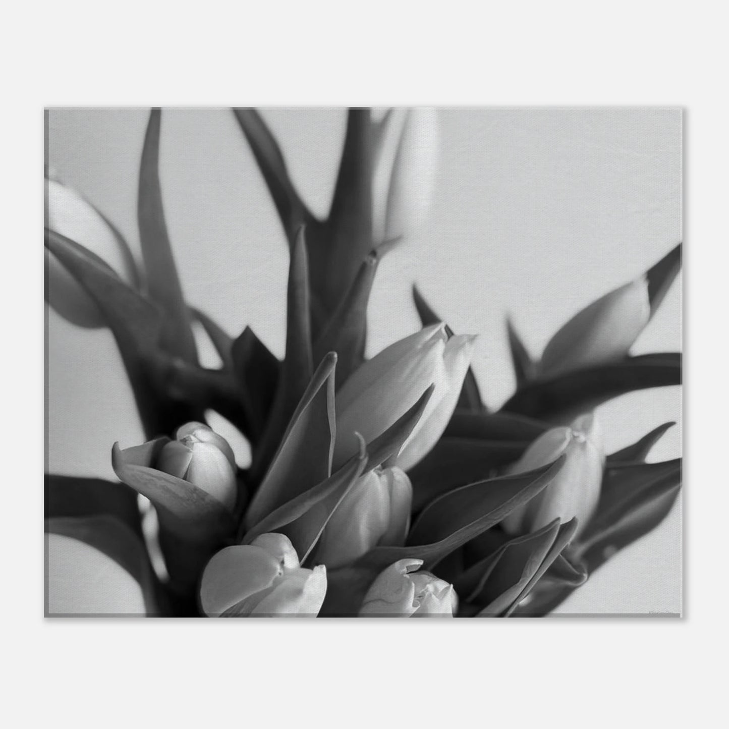 75cb8807-1053-4da0-9c69-73b3b187bd9e