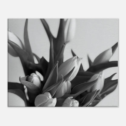 75cb8807-1053-4da0-9c69-73b3b187bd9e