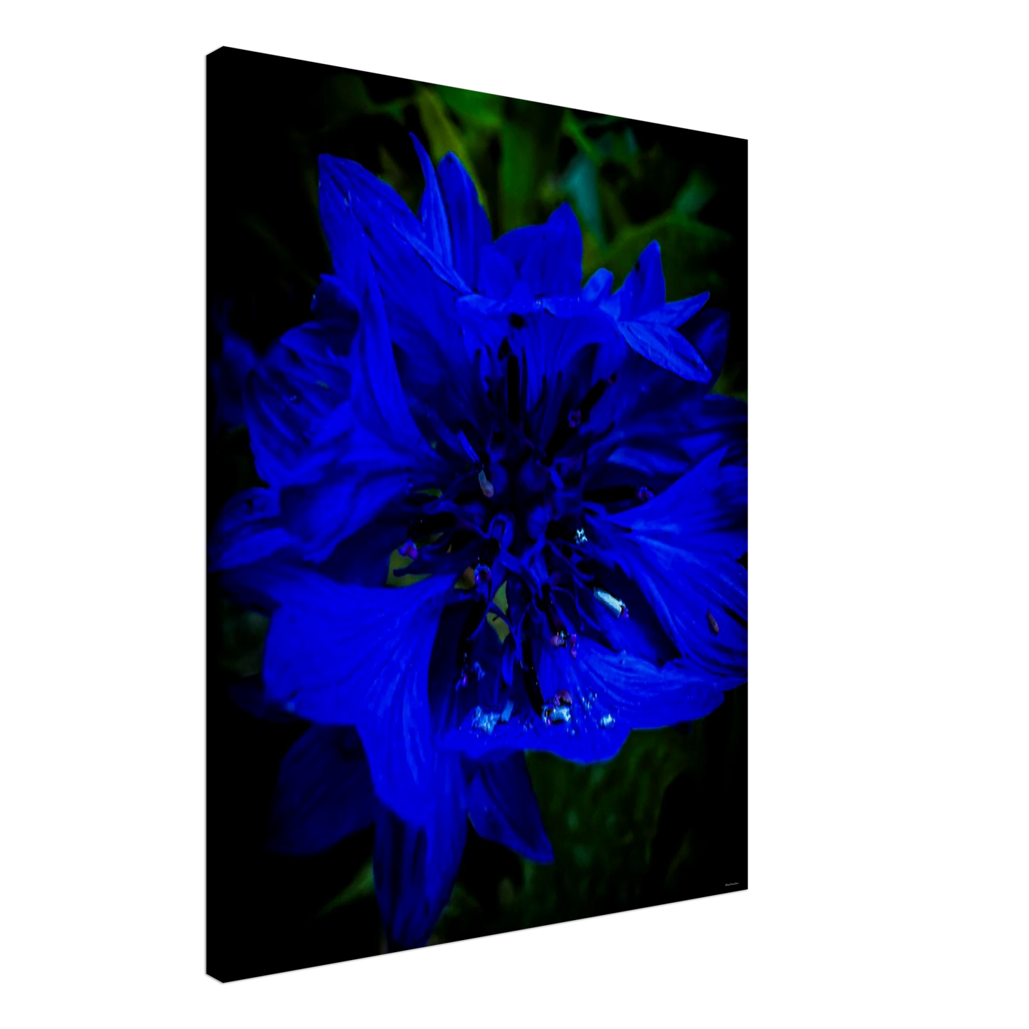 75d002d9-1508-4f99-bfd6-c4789a7a96d7