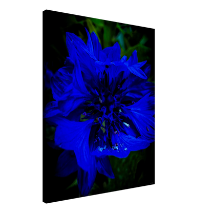 75d002d9-1508-4f99-bfd6-c4789a7a96d7