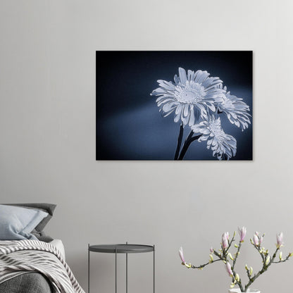 75d712ab-3f3e-49f9-ad5f-b204eb17fe7f