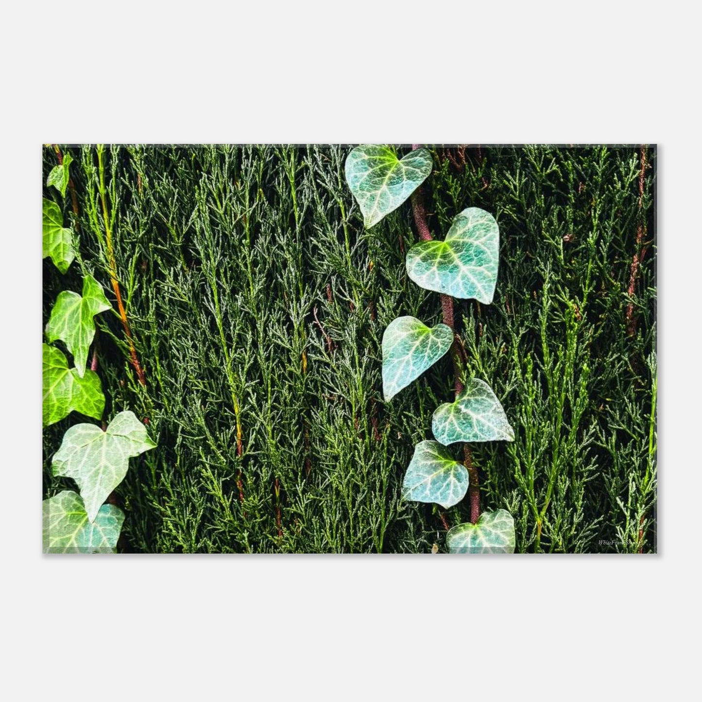 75d79160-15e0-49f6-aaee-85d3d4930c92