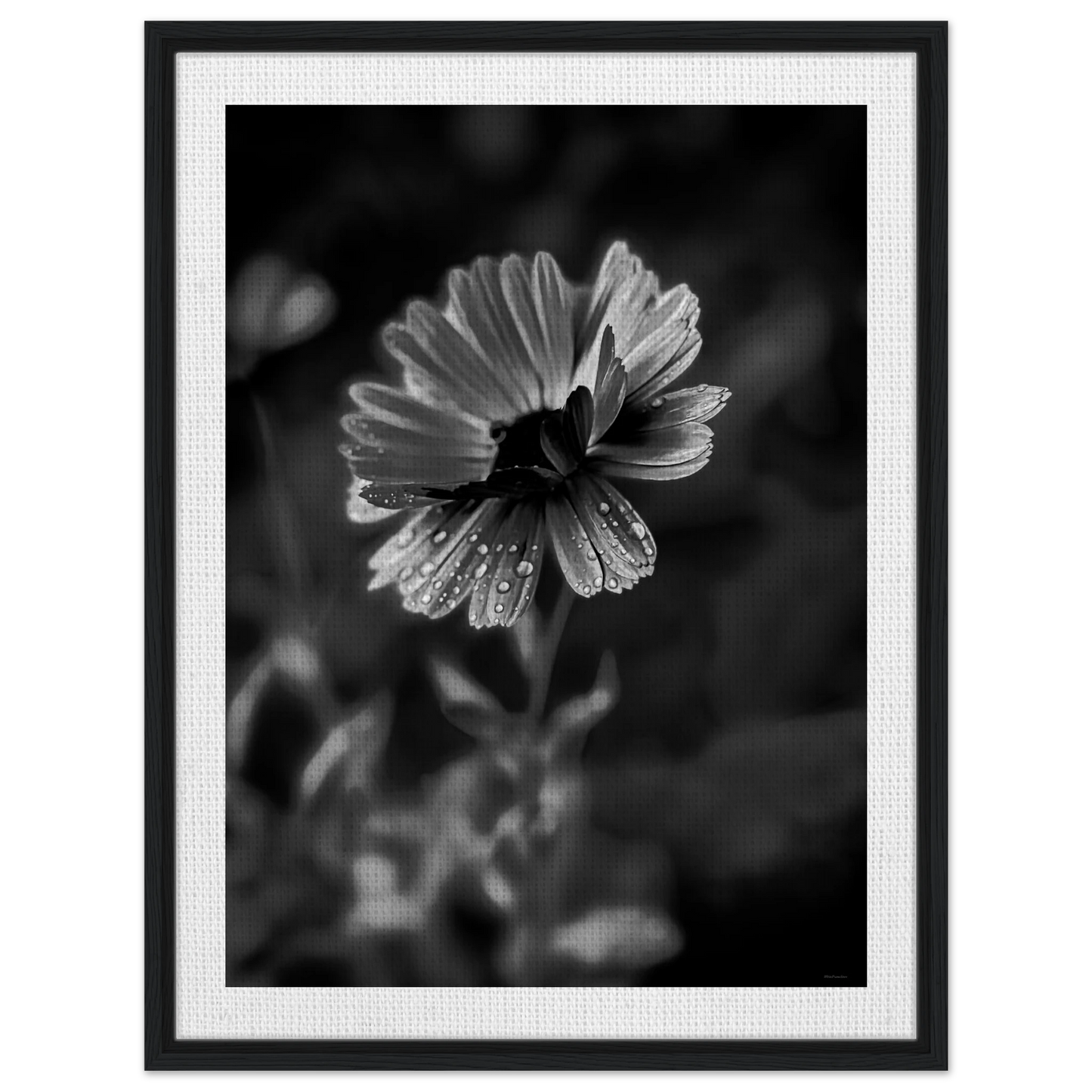 75d990a5-ab38-4662-9b65-545f85e217bc