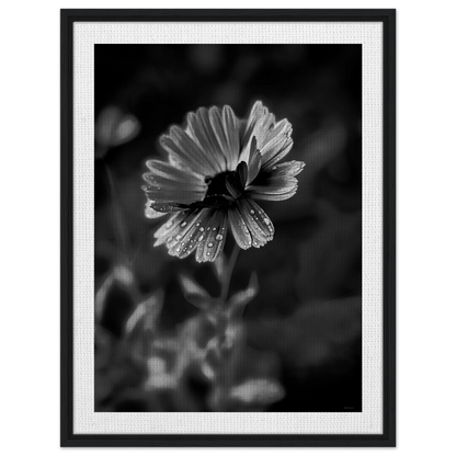 75d990a5-ab38-4662-9b65-545f85e217bc