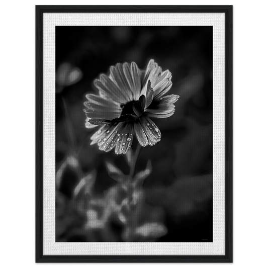 75d990a5-ab38-4662-9b65-545f85e217bc