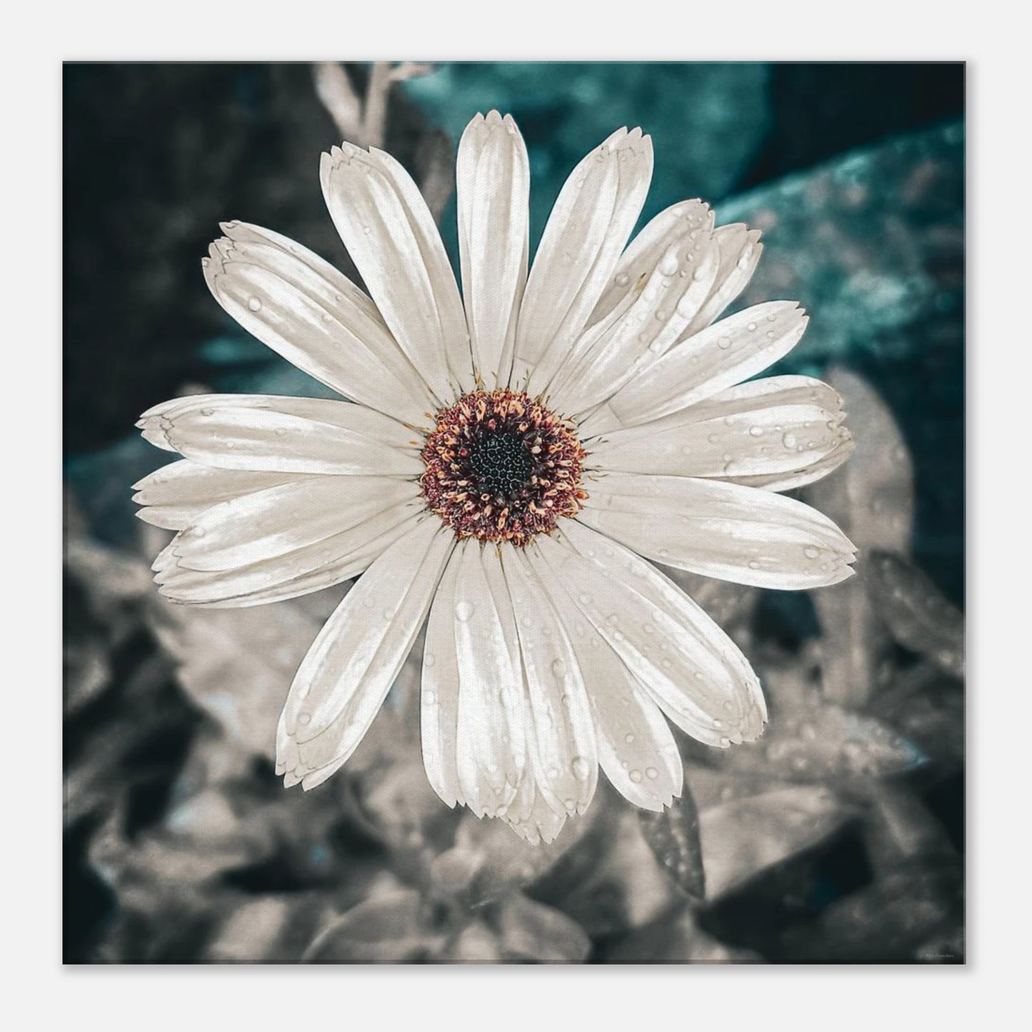 75dbcdd5-36c5-48d8-afbd-6cabab53bb3a