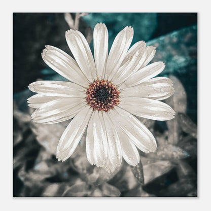 75dbcdd5-36c5-48d8-afbd-6cabab53bb3a