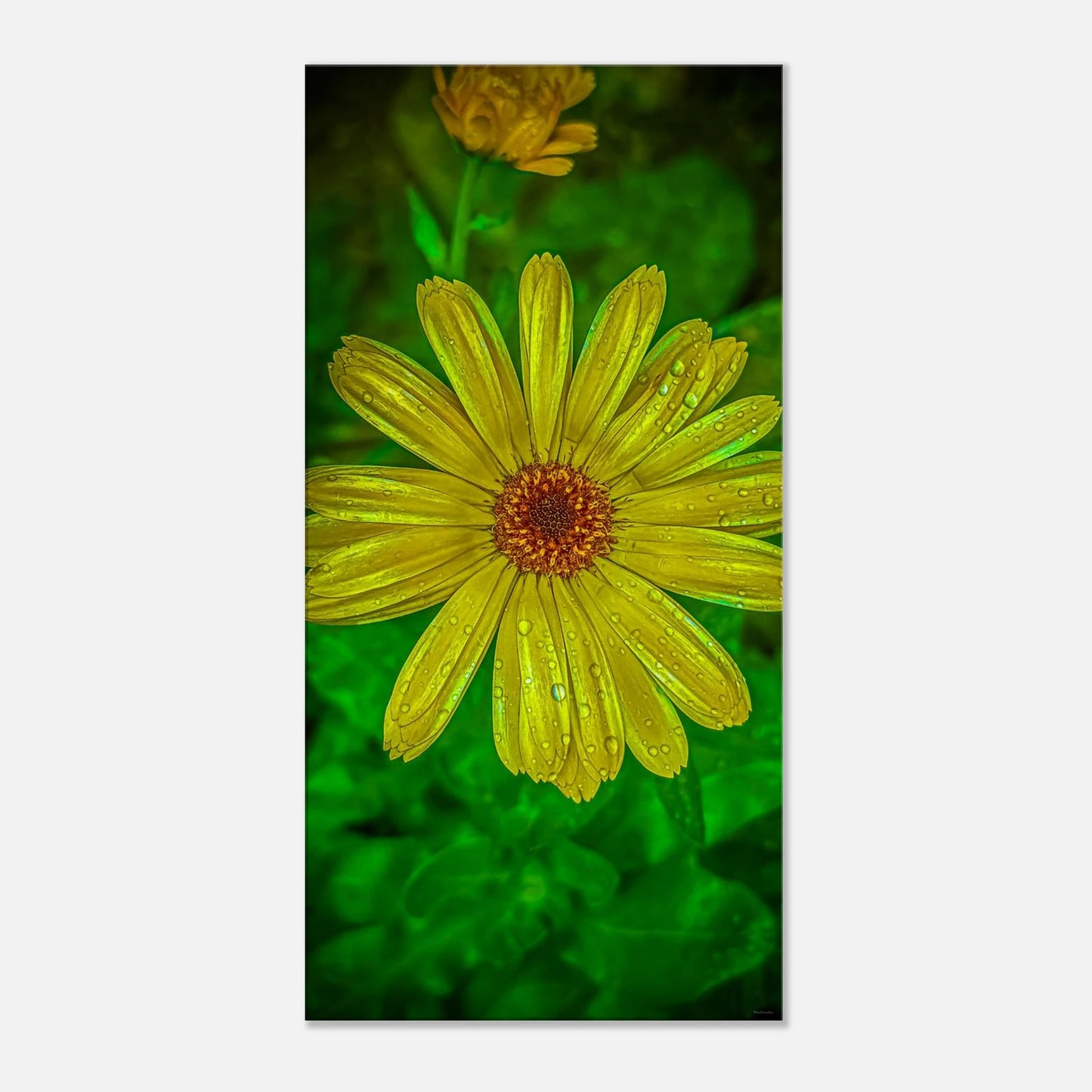 760e5bfe-c676-412c-aedc-a519a710c74a