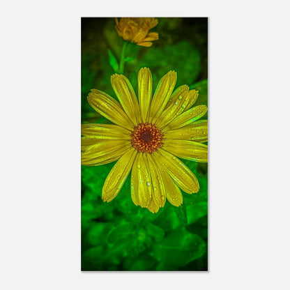 760e5bfe-c676-412c-aedc-a519a710c74a