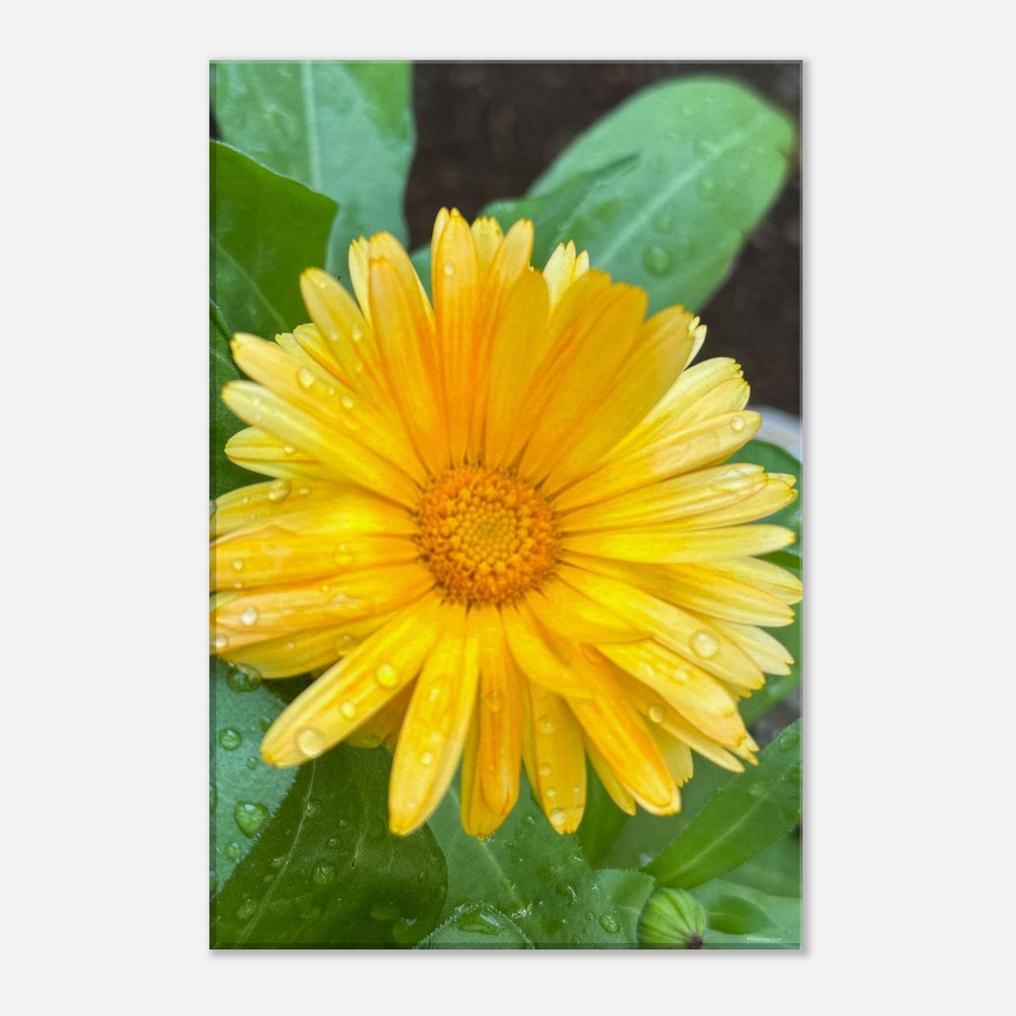 760f1953-3390-4c93-8136-0ad4c84b3d7b