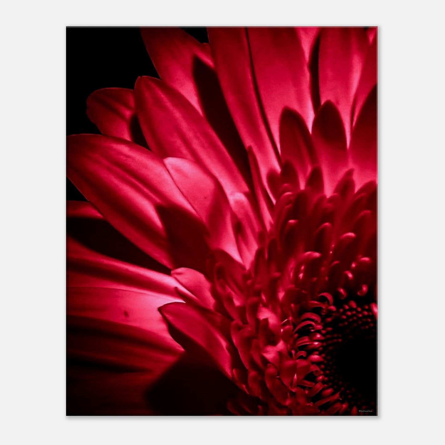 761b9a70-54de-4df2-8ea7-2d750c9508a4