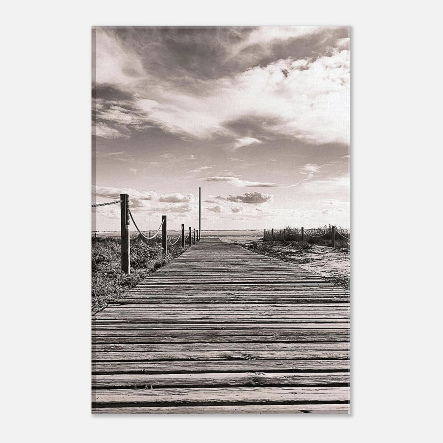 76294e65-ff19-4e8c-8bc9-51a995f7d8de