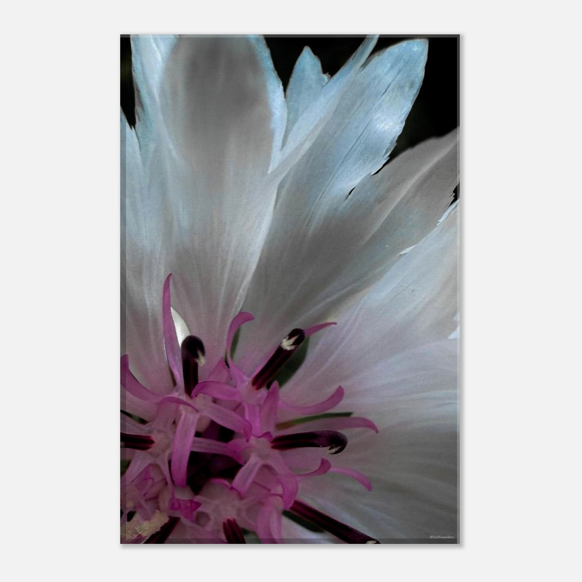 762a9f6e-202e-4288-a25d-45de5ad76bc7