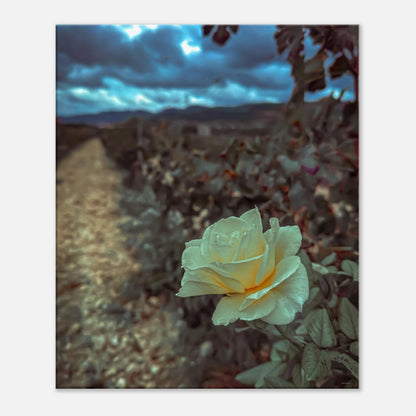 763ac2c1-ee31-47a5-8deb-838b402d6374