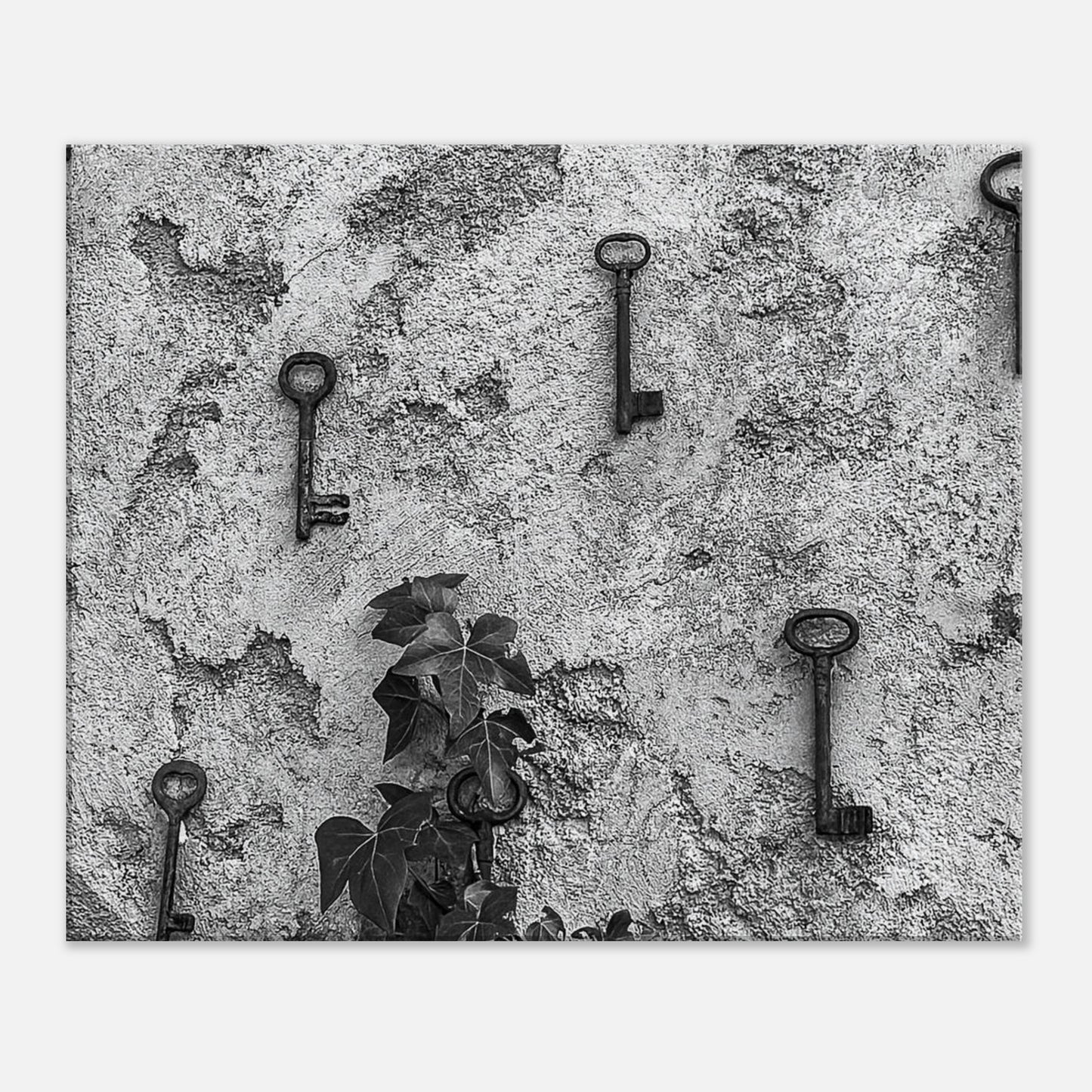 76540ff2-2d50-4af5-95fd-333da2d193f6