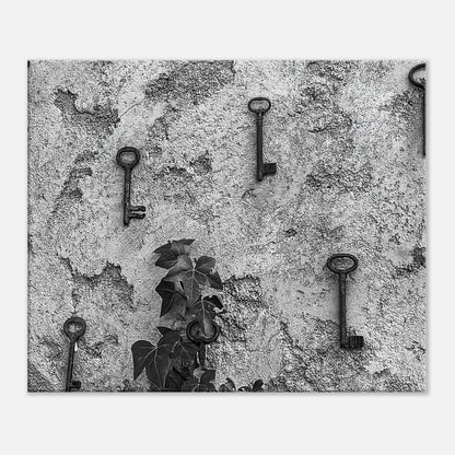 76540ff2-2d50-4af5-95fd-333da2d193f6