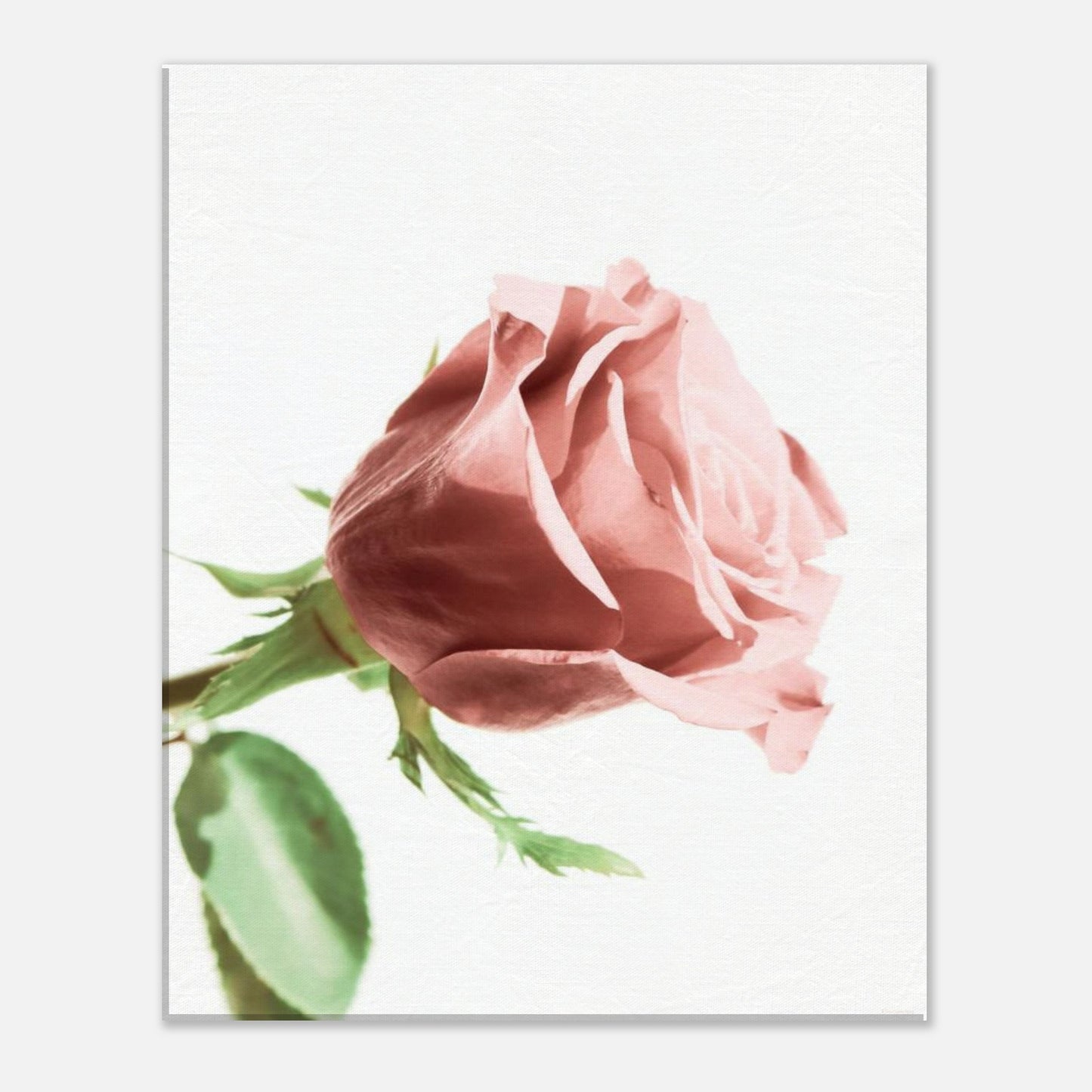 766dc925-a8fe-4268-95dd-a6cc47723d77