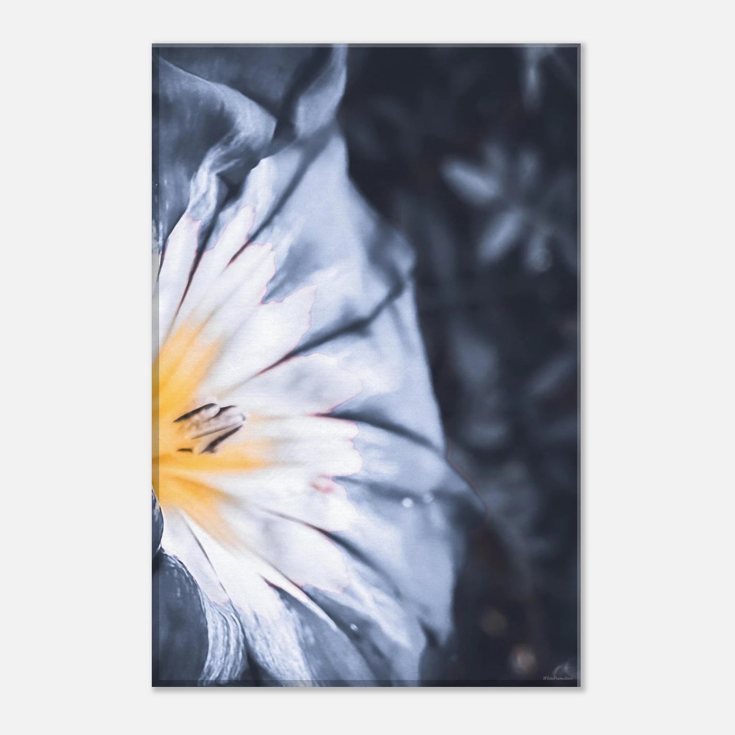 767d3a9d-f8ad-48ab-b0ec-394f68c89eb3