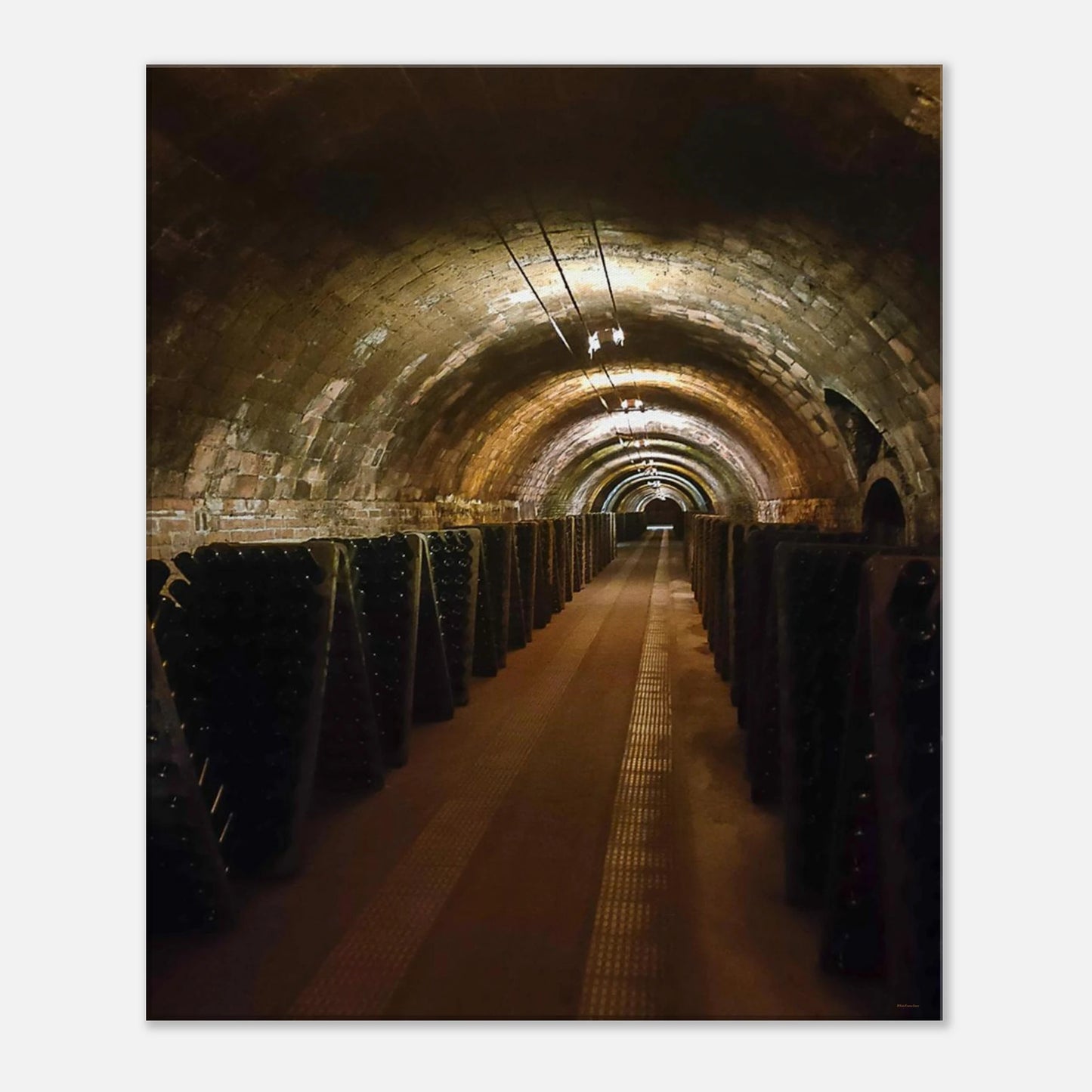 76d6a329-7b02-4219-9355-0e35c4502937