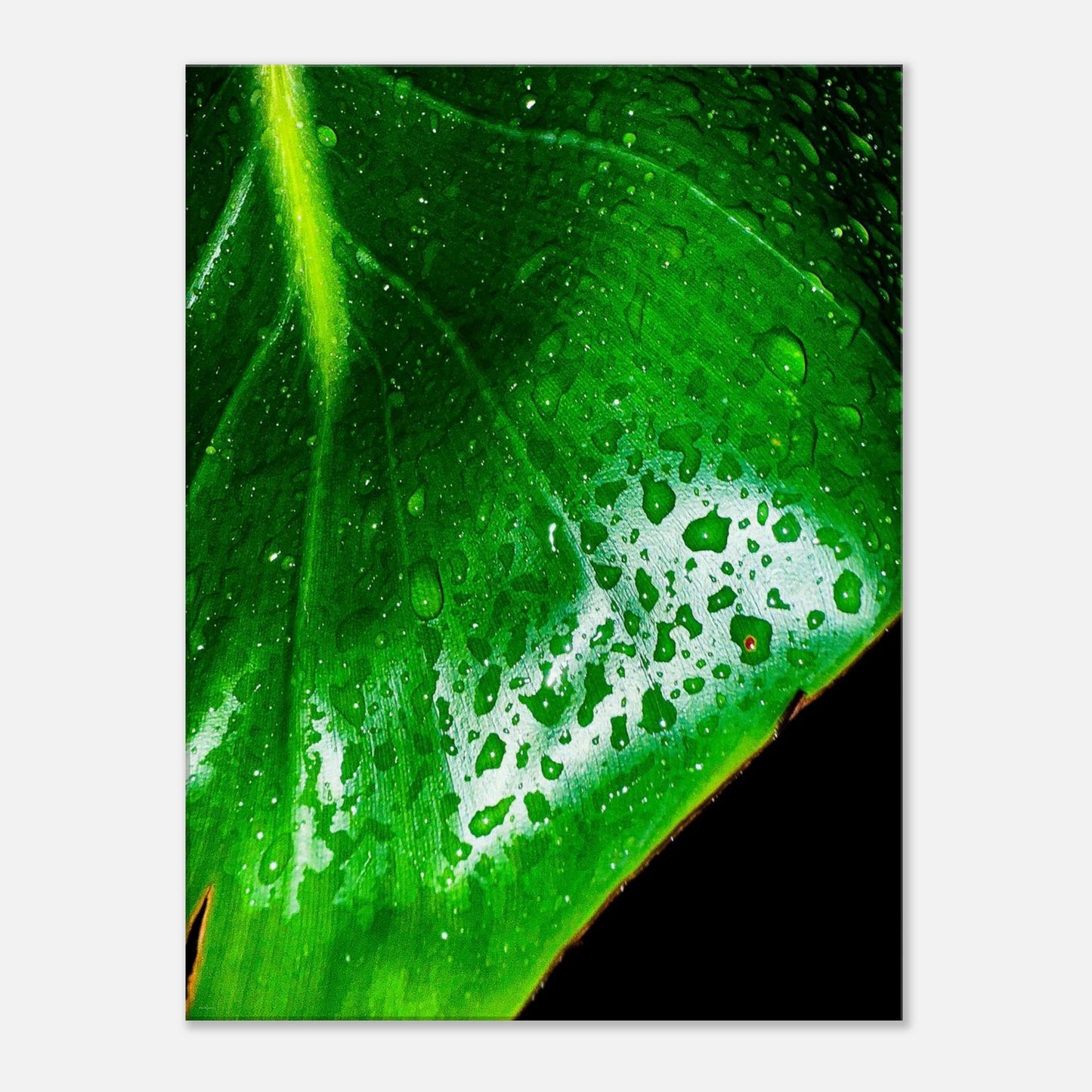 76f6dd61-5323-445d-bb02-1561f6458e99