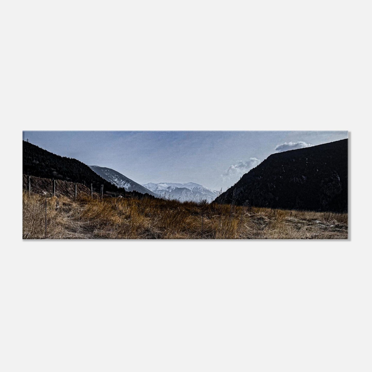 77006ad0-3a61-439f-bb2f-7818ab18dbb2