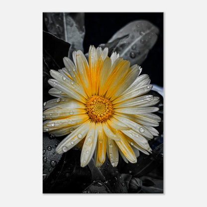 7700a012-7f8f-48a1-8125-37b6db989b2c