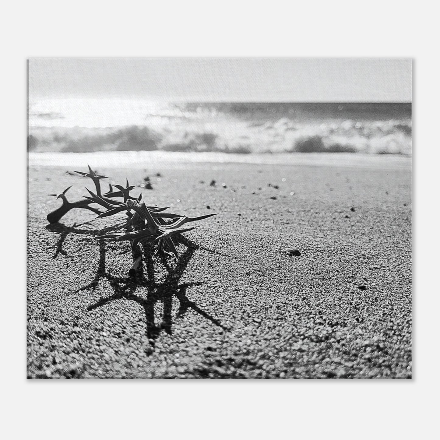 77090a95-148e-4397-b8ed-11aa44a794ce