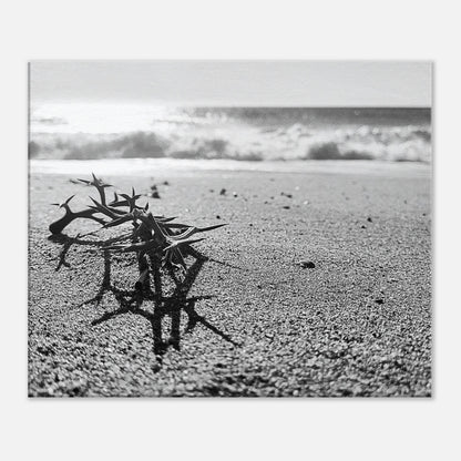 77090a95-148e-4397-b8ed-11aa44a794ce