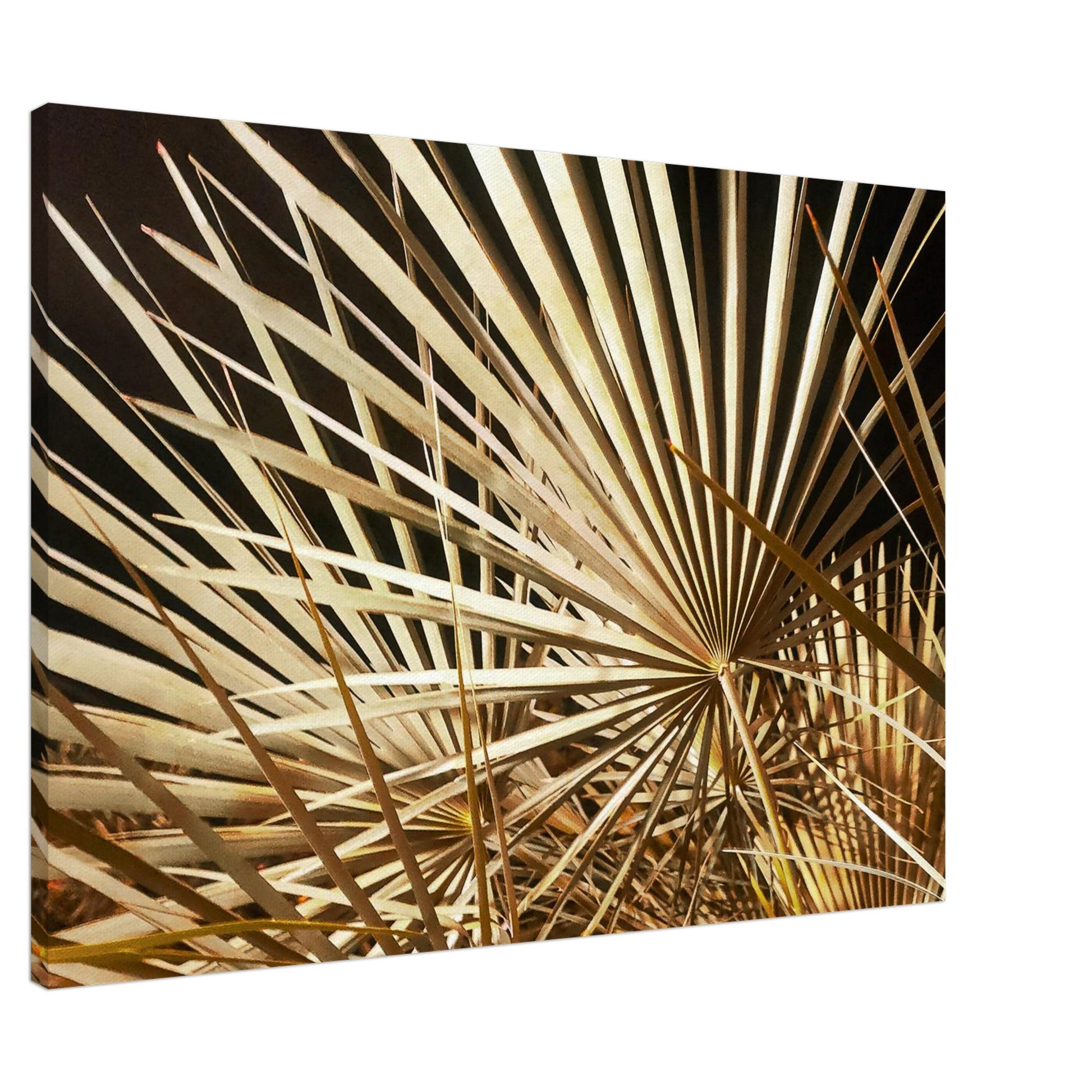 772a0f1f-8a00-4504-a9ba-5a81d39ffe32