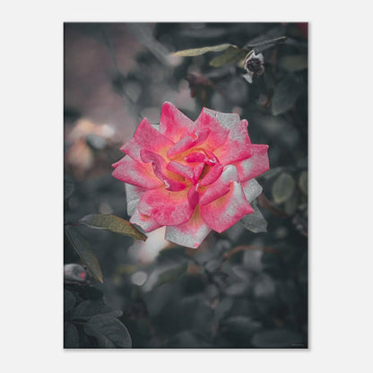 7763952e-b67a-4f00-8a5e-5c2d1fa3c7b3