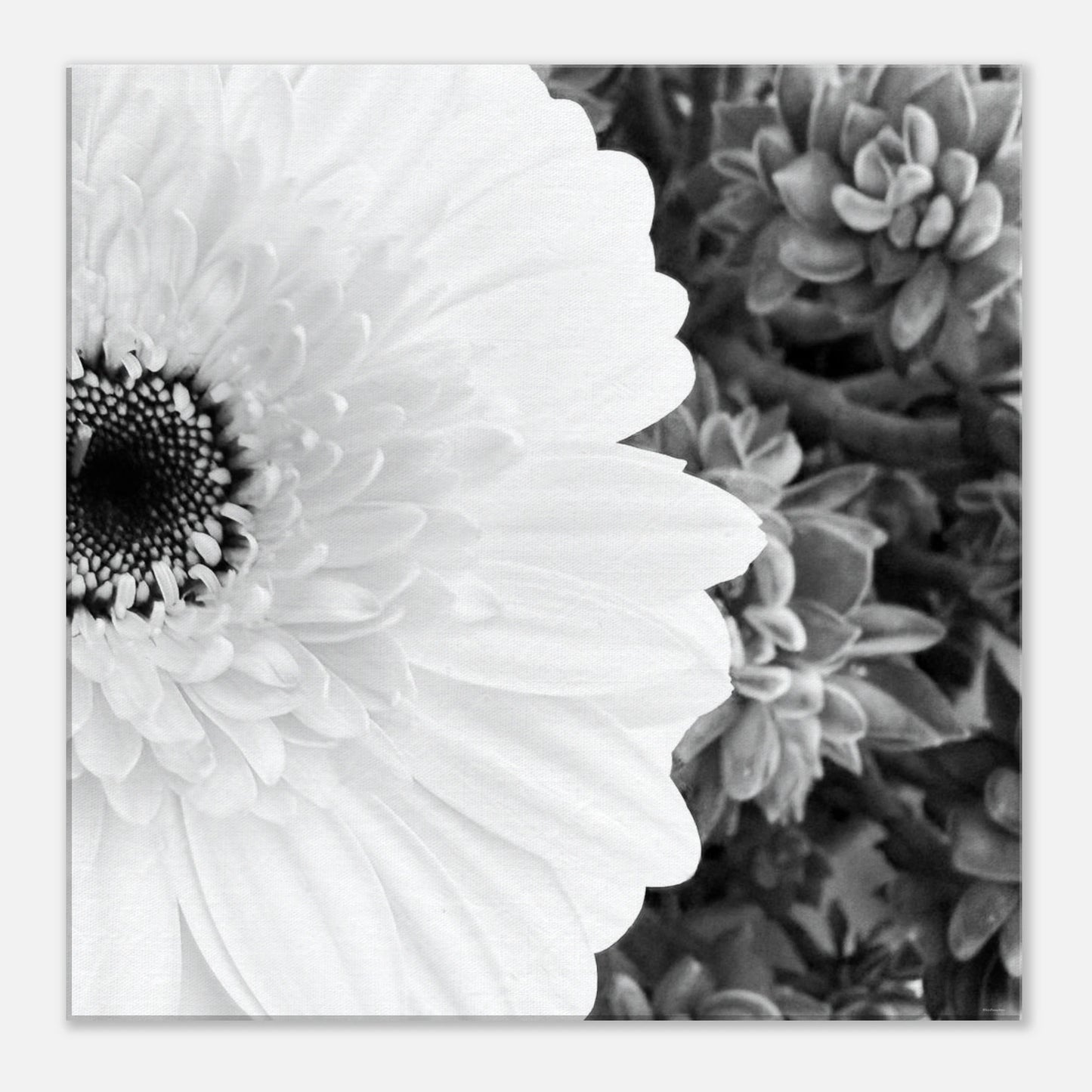 7774704c-f631-4d9a-a769-45e0a895750f