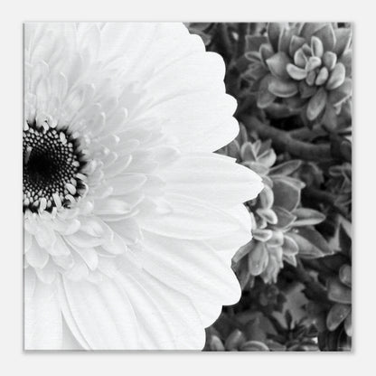 7774704c-f631-4d9a-a769-45e0a895750f