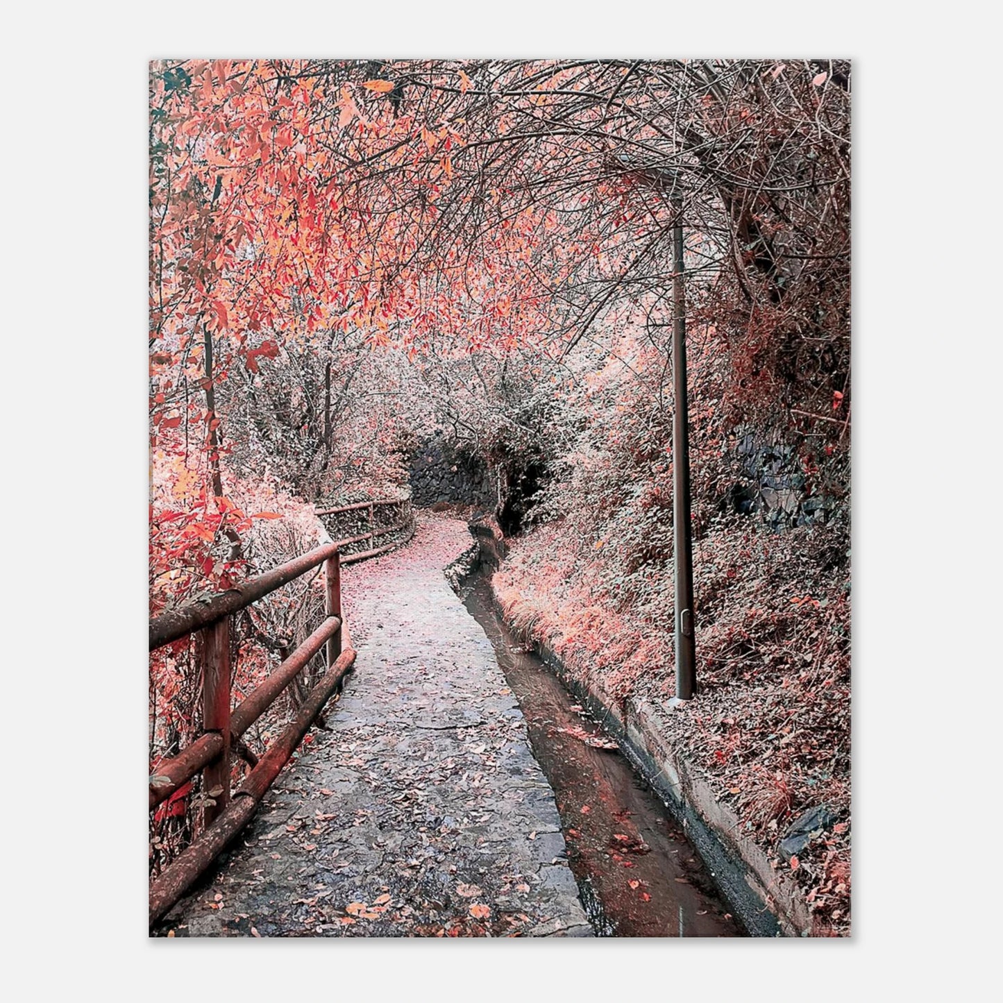 77d57574-2a9c-4b63-9402-4751a65c4573