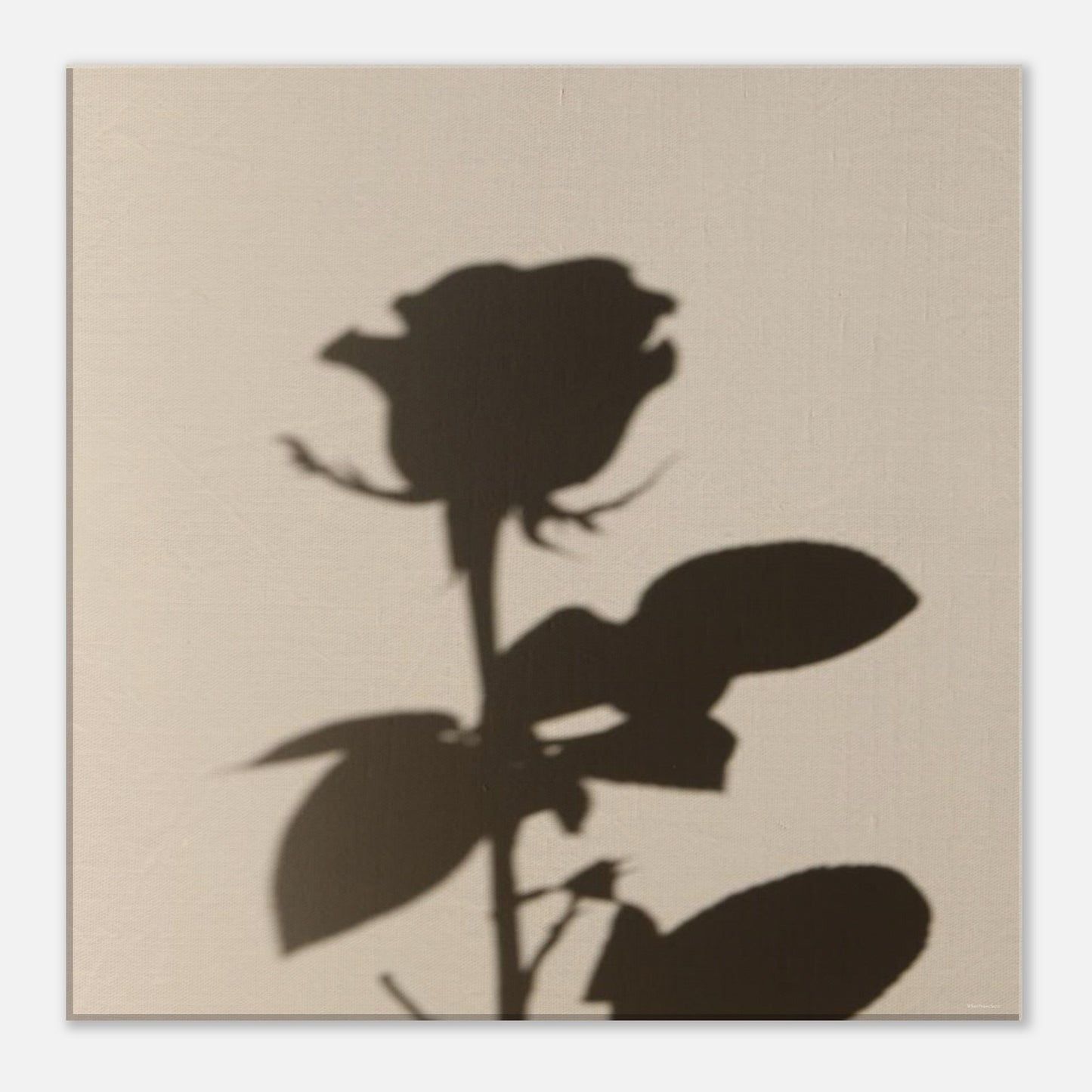 77d79992-32bb-45e0-9f31-e71990d7df9d