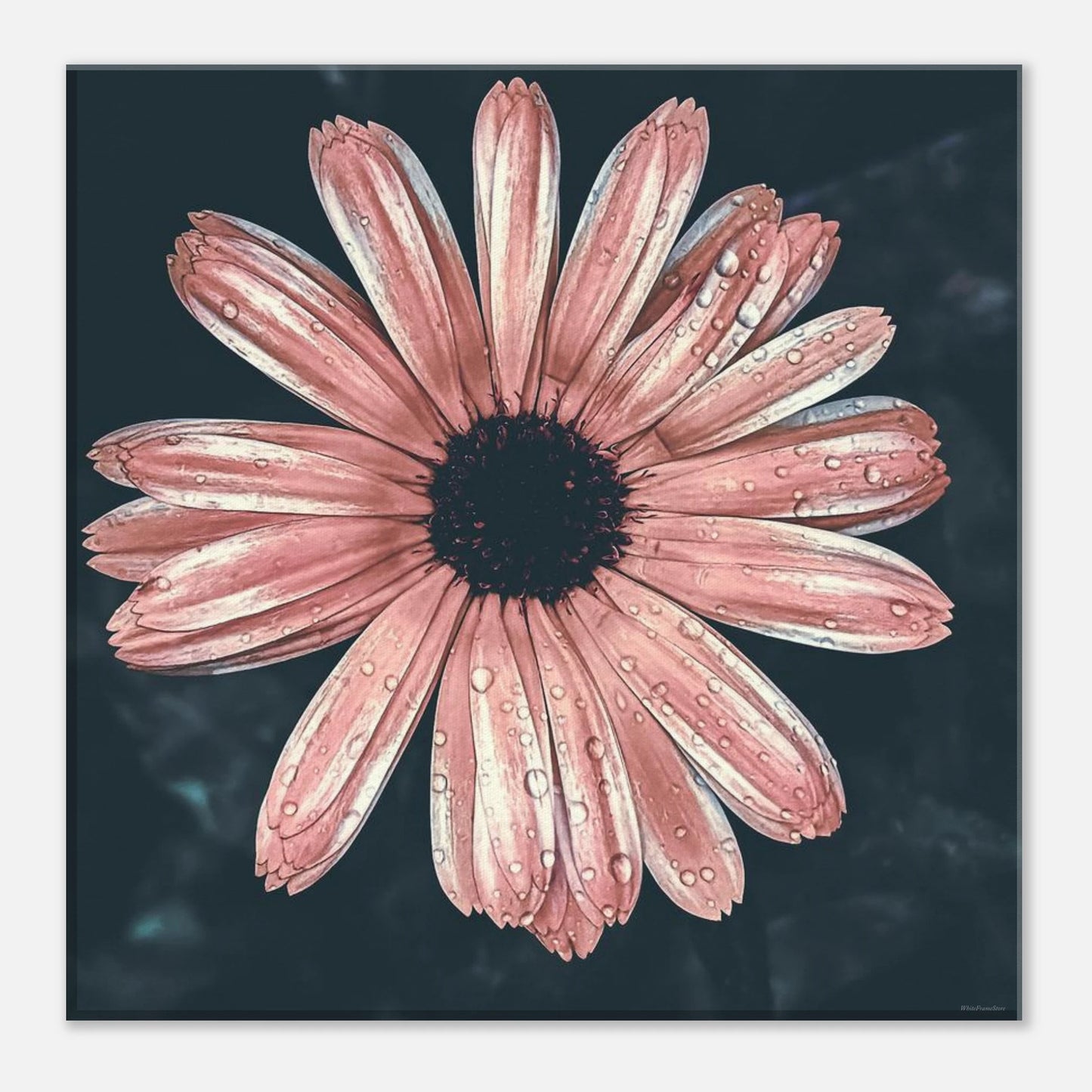 77f2d5e1-9f9e-4a04-a40a-fd0a6fde7830