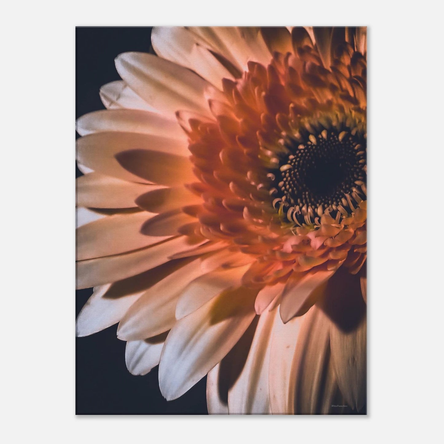 78090dac-f10c-4440-bb41-005ae73544af