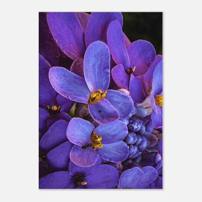 784526fe-9ac5-4288-98e8-cc31fcdf027e