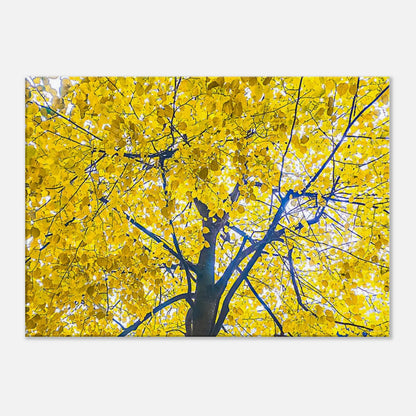 78622bc1-5db0-4c11-b0a9-c656ec005251