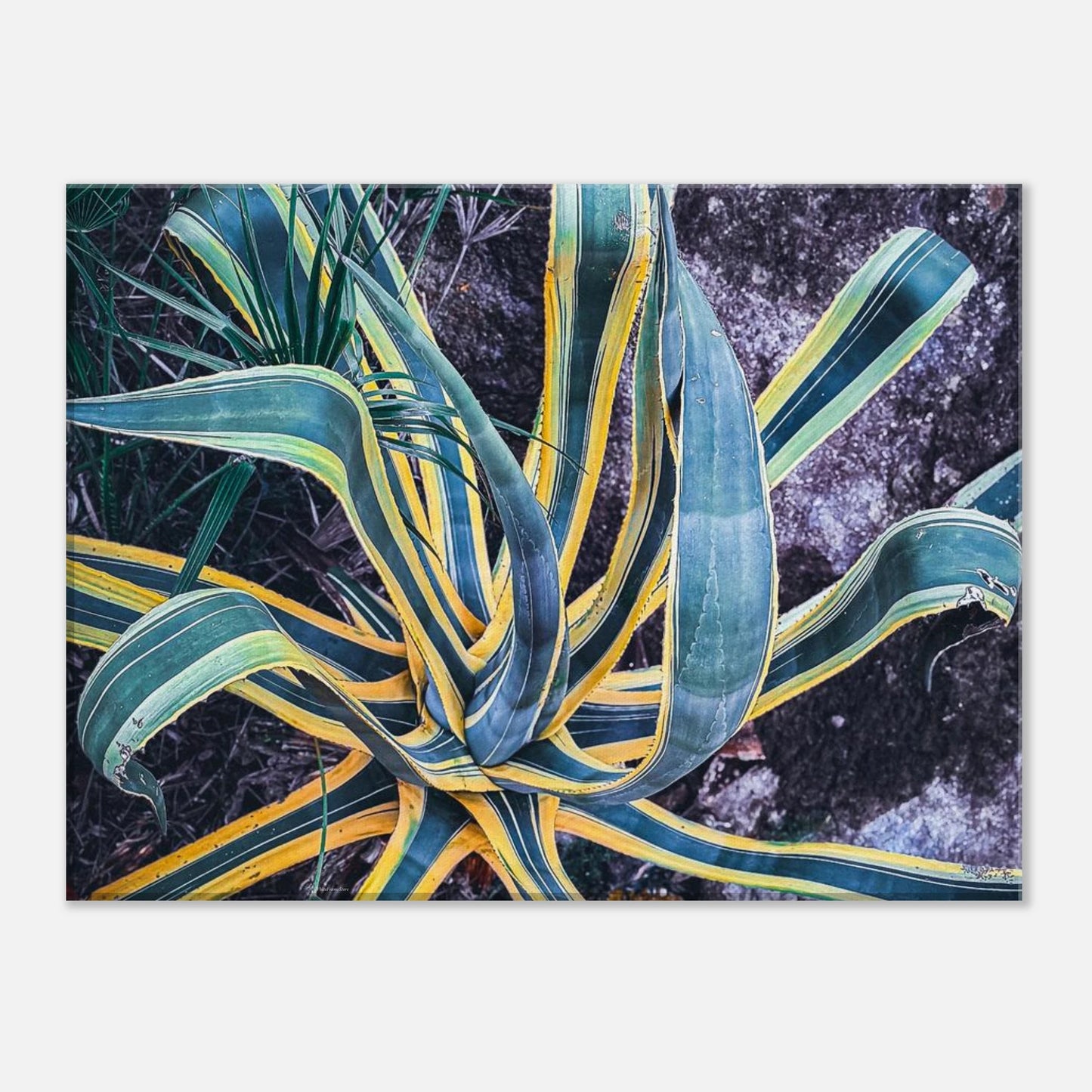 788146bc-f82d-4498-885d-22ee2c115e64