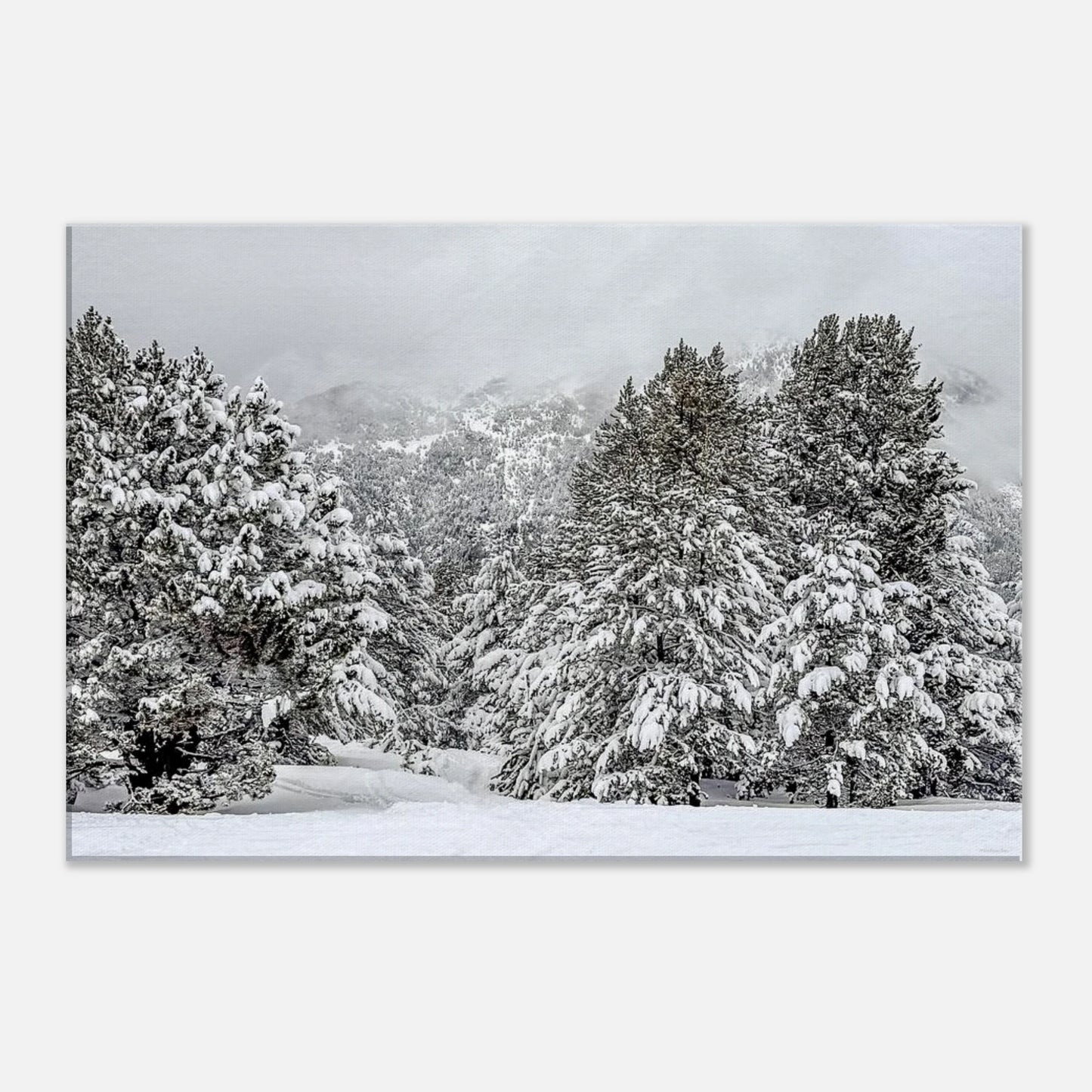 7893610a-72ab-4f10-aa80-6ebc9b161310