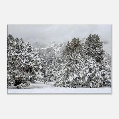 7893610a-72ab-4f10-aa80-6ebc9b161310