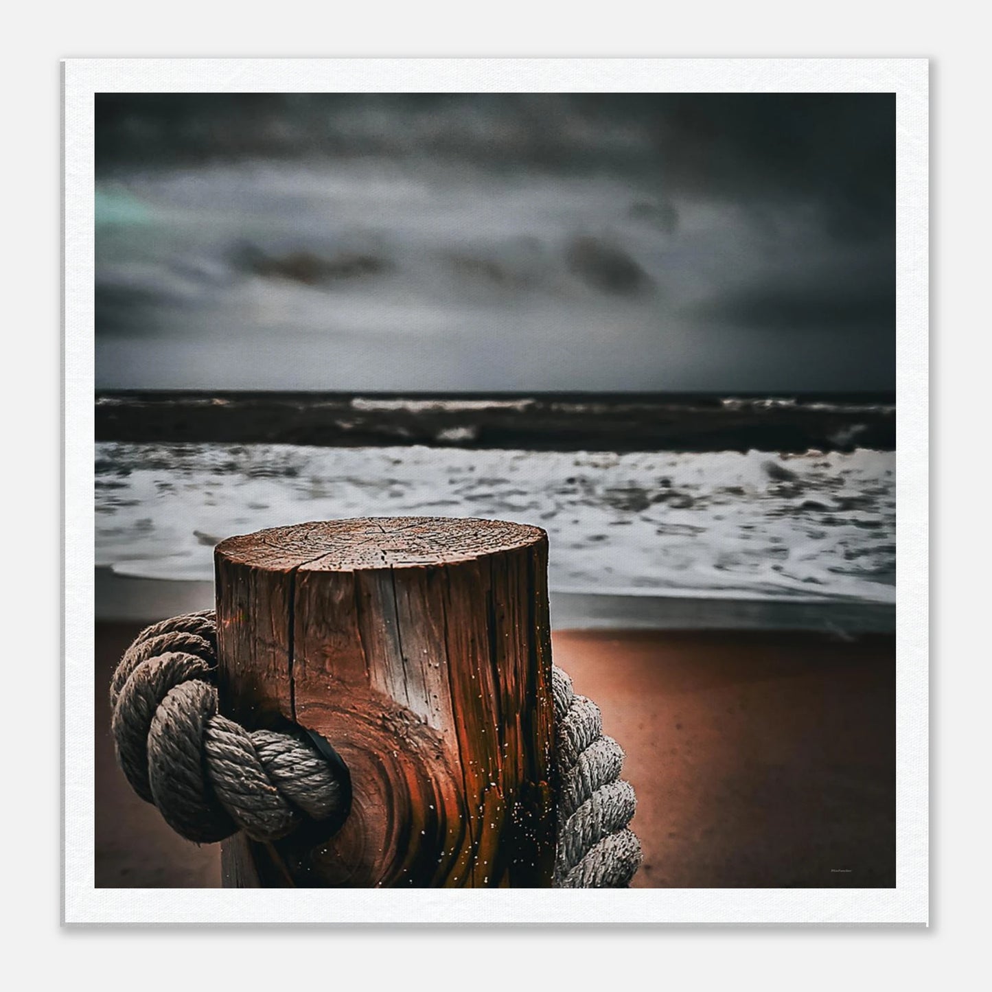 78ba8fca-d33e-413f-b746-1de910faf1f3