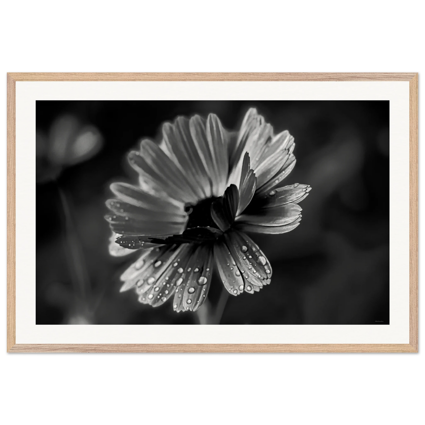 791b1650-7006-48a7-a7de-c86bb76bcf5e