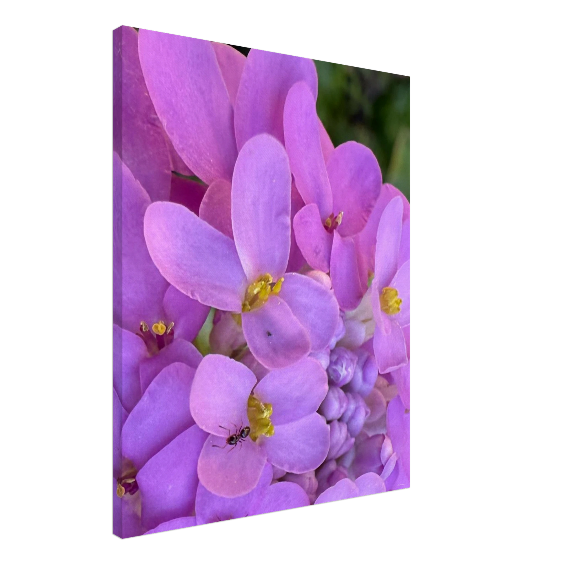 792aeb41-b1b6-4f7c-bec3-b2a559ebd391