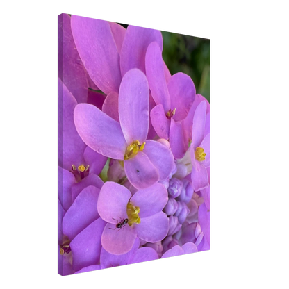 792aeb41-b1b6-4f7c-bec3-b2a559ebd391