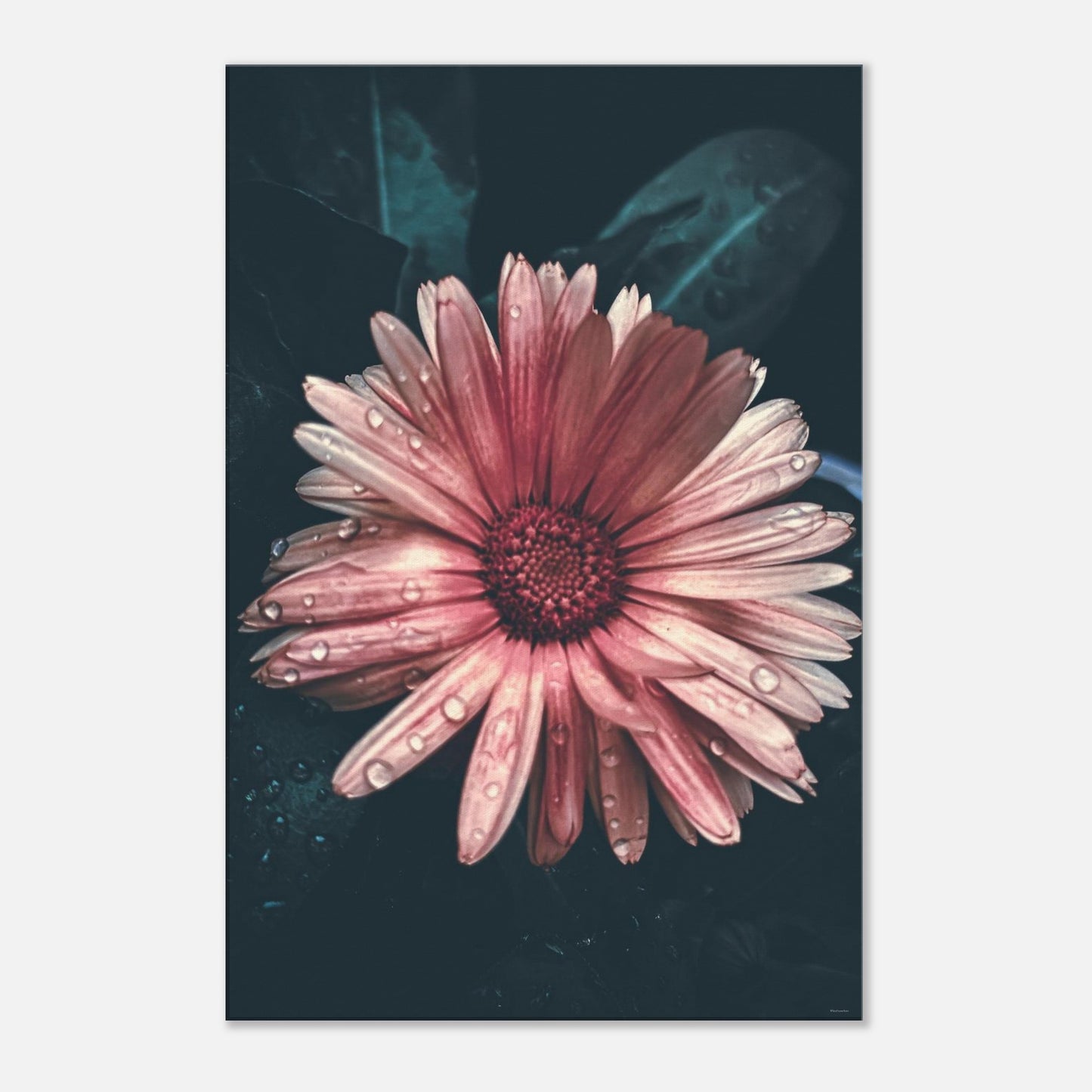 796411c0-fc76-42c8-8a88-31625ccfb519