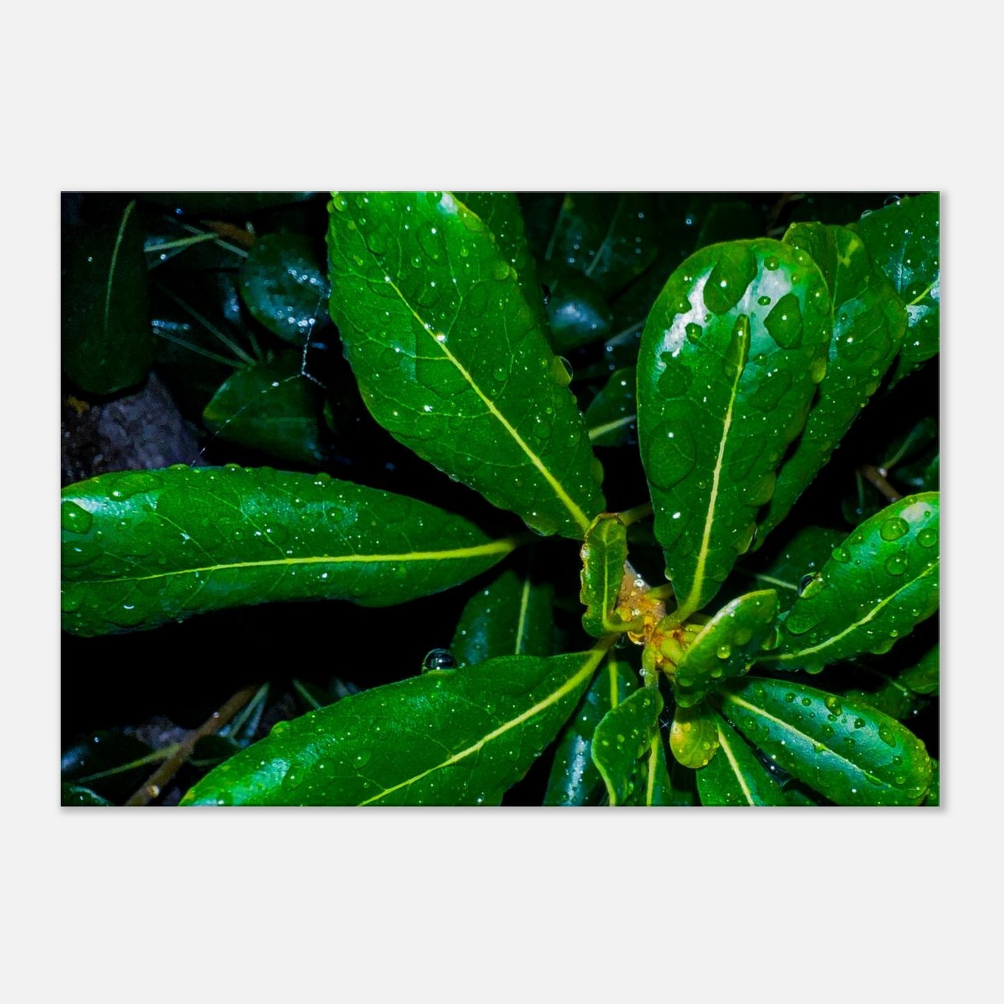 796a5df3-207a-4926-870e-e5f1cef90dbc